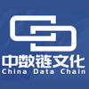 中数链（上海）文化发展有限公司