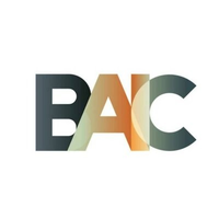 知识：BAI币好不？BAIC今日价格及2026年价格预测