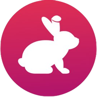 新闻：BUNNY值得购买吗？BunnyToken价格分析及近期成交