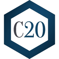什么是C20币？Crypto20价格预测2026-2030年