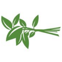 什么是VNLA币？如何发现筛选潜力香草币？主流币项目盘点
