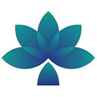 解构稳定币《价值接力》模型 洞悉全球支付的现在与未来