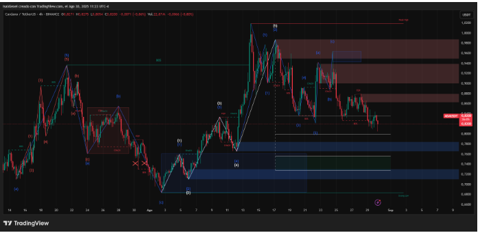 卡尔达诺向公众开放莱奥斯的提案