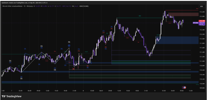 Strategy领先,Metaplanet在公开比特币持有者中排名第六