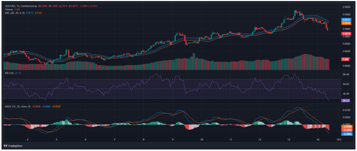 卡尔达诺获得关注