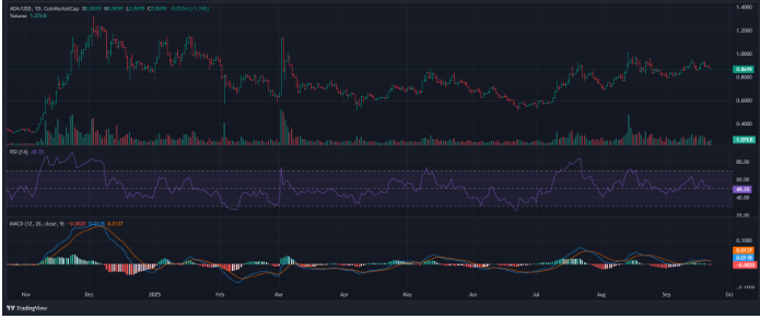 卡尔达诺将从超卖水平反弹或跌破关键支撑位?