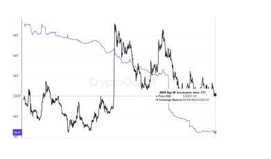 分析师预测,在交易所持有量创历史新低的情况下,柴犬的价格将大幅上涨