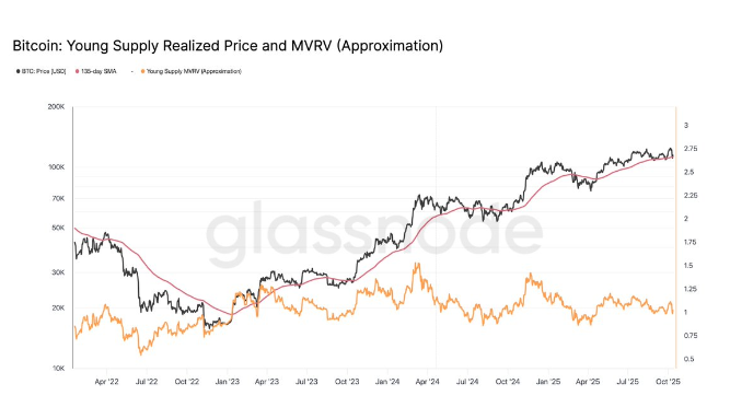 比特币从极端投机中冷却,市场结构完好无损