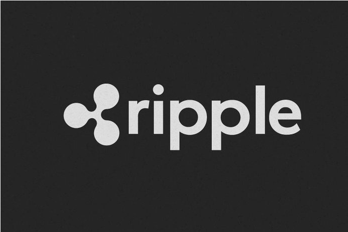 Ripple总裁称赞Ripple Prime是XRP和RLUSD增长的主要催化剂