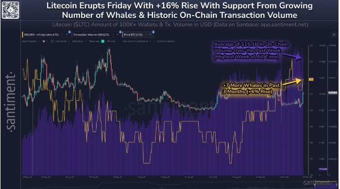 鲸鱼钱包和链上交易量创历史新高，莱特币飙升至100美元