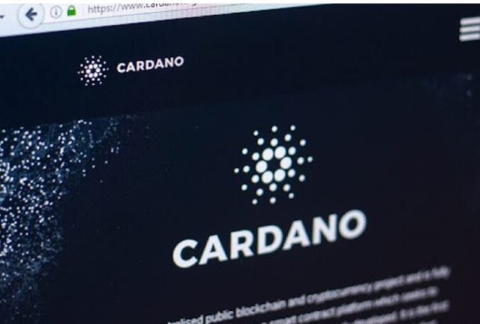 卡尔达诺基金会报告在Web3、RWA和治理方面的全球采用路线图取得了重大进展