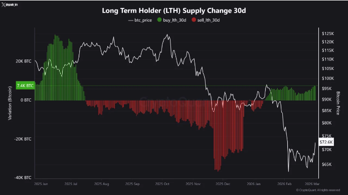 长期持有比特币的投资者再次大量买入，其买入速度之猛，自 2025 年 7 月以来从未有过。