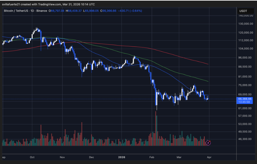 比特币大鲸停止了疯狂抛售。这就是它们所期待的时刻。